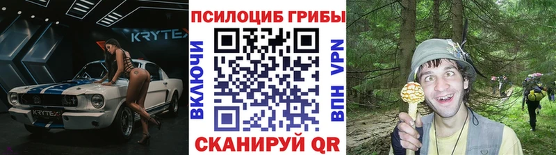 Псилоцибиновые грибы Psilocybine cubensis  сколько стоит  KRAKEN зеркало  мориарти какой сайт  Междуреченск 