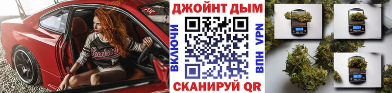 купить  цена  Междуреченск  МАРИХУАНА ГИДРОПОН 